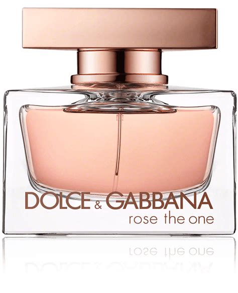 dolce gabbana rose the one eau de parfum|dolce gabbana the one 50ml.